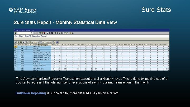 Sure Stats Report - Monthly Statistical Data View This View summarises Program / Transaction