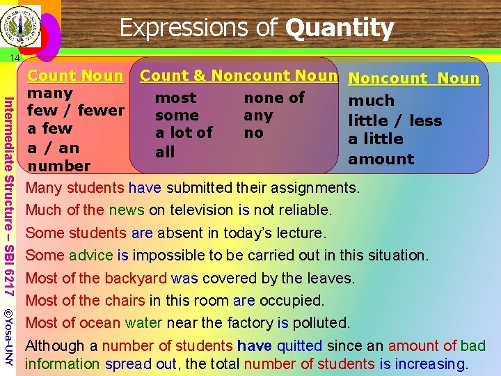 Expressions of Quantity 14 Intermediate Structure – SBI 6217 Count Noun Count & Noncount