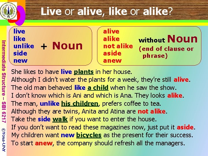 Live or alive, like or alike? Intermediate Structure – SBI 6217 live like unlike