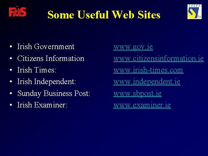 Some Useful Web Sites • • • Irish Government Citizens Information Irish Times: Irish