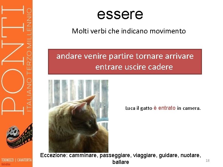 essere Molti verbi che indicano movimento andare venire partire tornare arrivare entrare uscire cadere