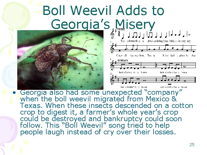 Boll Weevil Adds to Georgia’s Misery • Georgia also had some unexpected “company” when