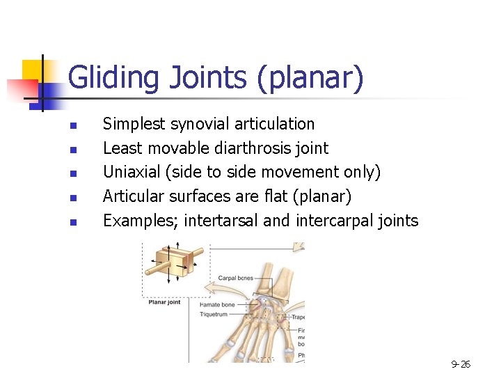 Gliding Joints (planar) n n n Simplest synovial articulation Least movable diarthrosis joint Uniaxial