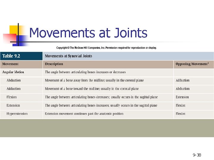 Movements at Joints 9 -38 