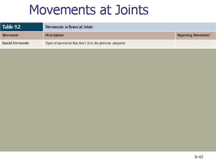 Movements at Joints 9 -43 