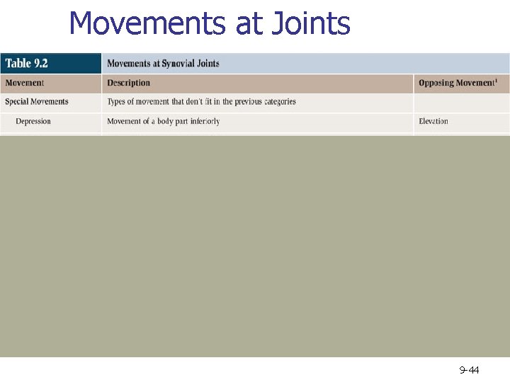 Movements at Joints 9 -44 