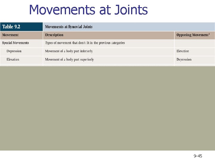 Movements at Joints 9 -45 