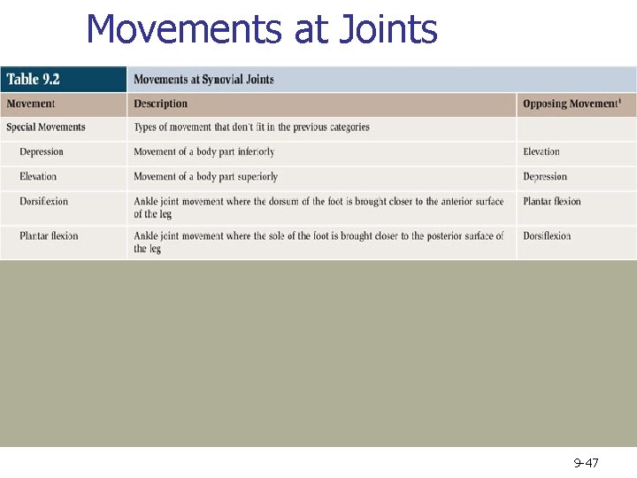 Movements at Joints 9 -47 