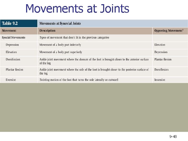Movements at Joints 9 -48 