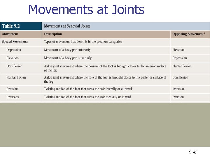 Movements at Joints 9 -49 