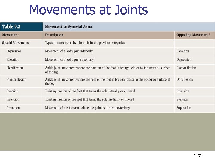 Movements at Joints 9 -50 