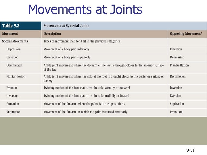 Movements at Joints 9 -51 