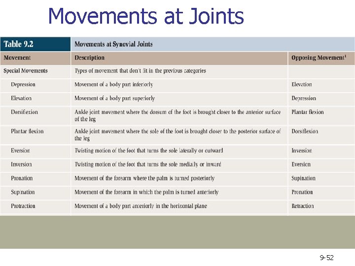 Movements at Joints 9 -52 