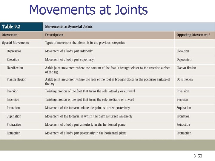 Movements at Joints 9 -53 