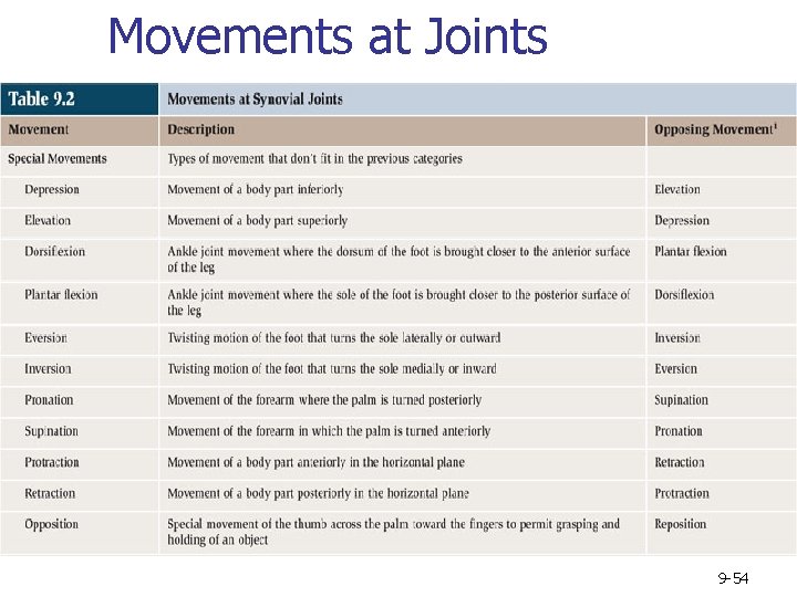 Movements at Joints 9 -54 