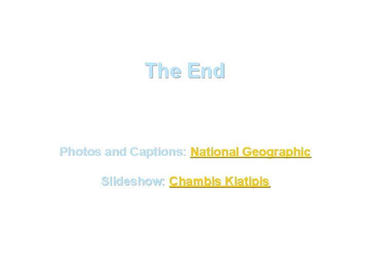 The End Photos and Captions: National Geographic Slideshow: Chambis Kiatipis 