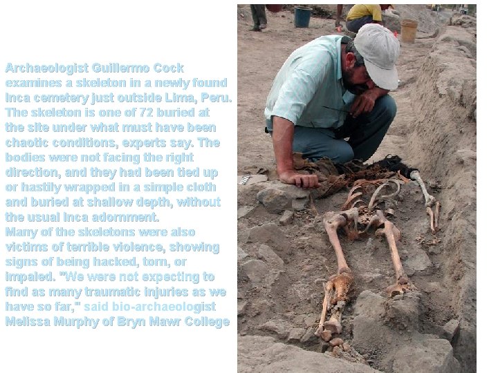 Archaeologist Guillermo Cock examines a skeleton in a newly found Inca cemetery just outside