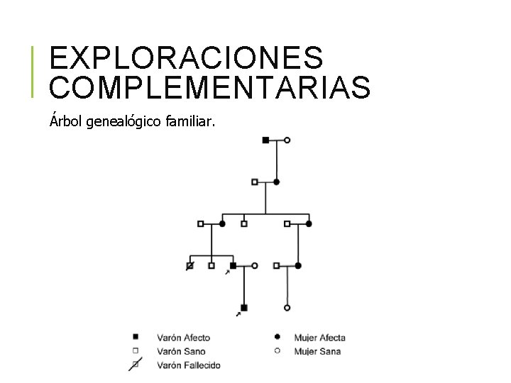 EXPLORACIONES COMPLEMENTARIAS Árbol genealógico familiar. 