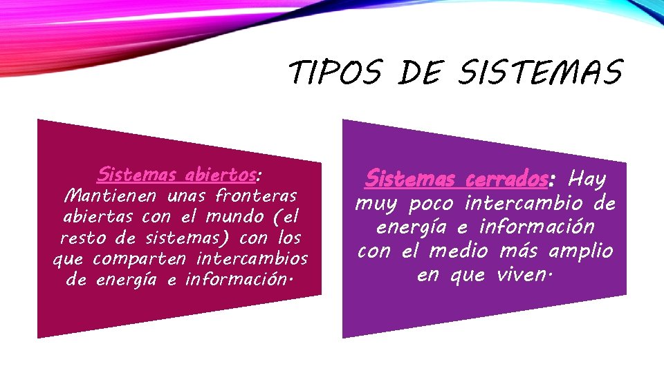 TIPOS DE SISTEMAS Sistemas abiertos: Mantienen unas fronteras abiertas con el mundo (el resto