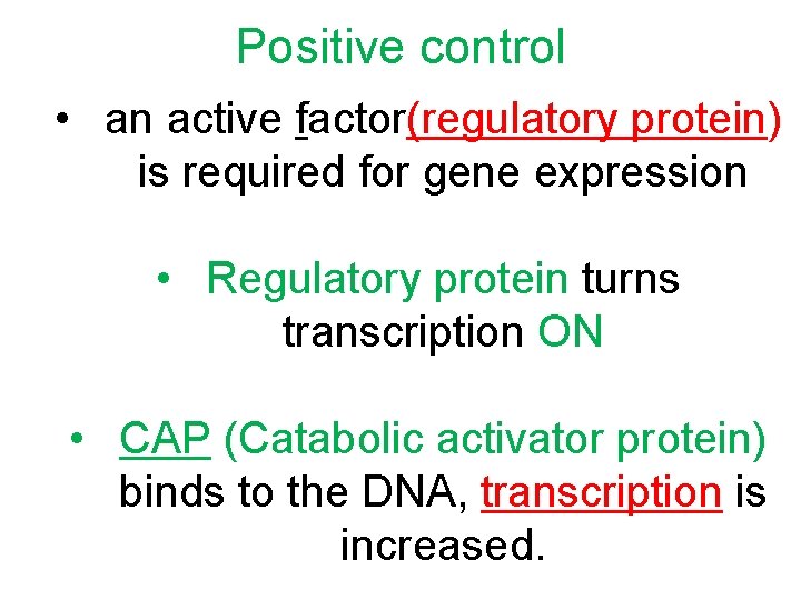 Positive control • an active factor(regulatory protein) is required for gene expression • Regulatory