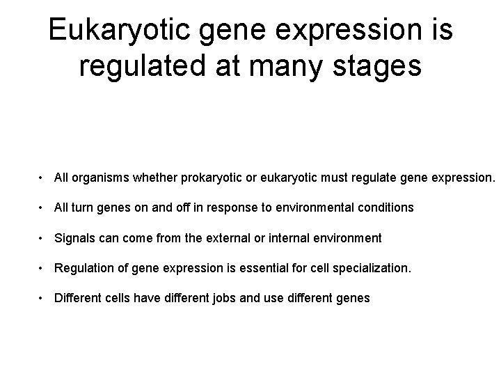 Eukaryotic gene expression is regulated at many stages • All organisms whether prokaryotic or