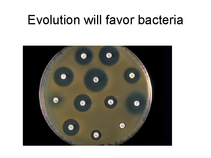 Evolution will favor bacteria 