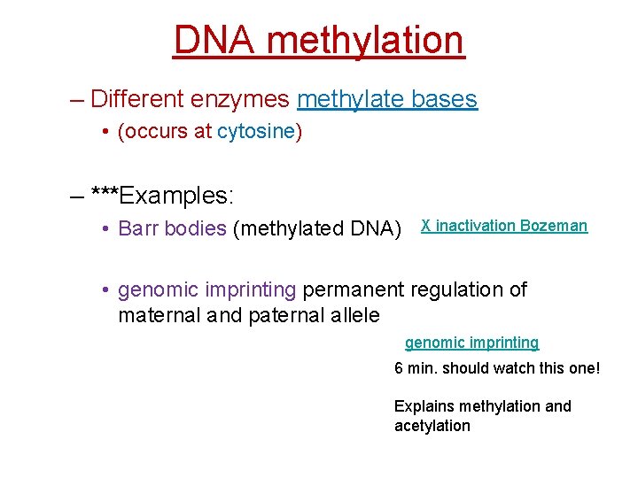 DNA methylation – Different enzymes methylate bases • (occurs at cytosine) – ***Examples: •