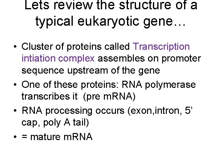 Lets review the structure of a typical eukaryotic gene… • Cluster of proteins called