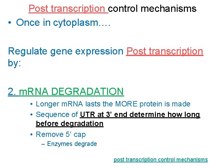 Post transcription control mechanisms • Once in cytoplasm…. Regulate gene expression Post transcription by: