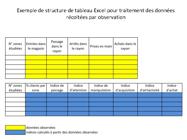 Exemple de structure de tableau Excel pour traitement des données récoltées par observation 