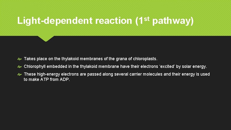Light-dependent reaction (1 st pathway) Takes place on the thylakoid membranes of the grana