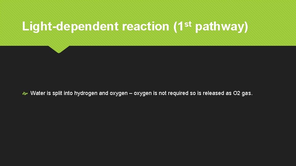 Light-dependent reaction (1 st pathway) Water is split into hydrogen and oxygen – oxygen