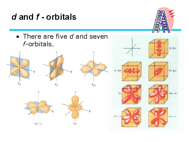 d and f - orbitals • There are five d and seven f-orbitals. 