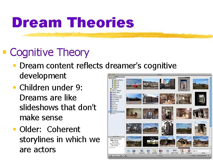 Dream Theories § Cognitive Theory § Dream content reflects dreamer’s cognitive development § Children Dream Theories § Cognitive Theory § Dream content reflects dreamer’s cognitive development § Children
