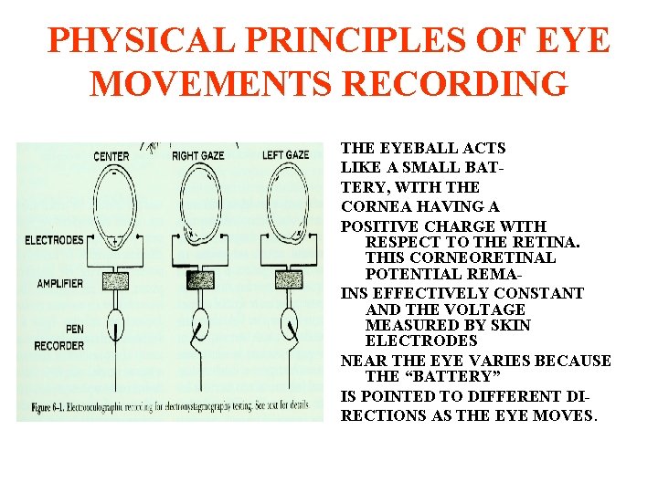 PHYSICAL PRINCIPLES OF EYE MOVEMENTS RECORDING THE EYEBALL ACTS LIKE A SMALL BATTERY, WITH