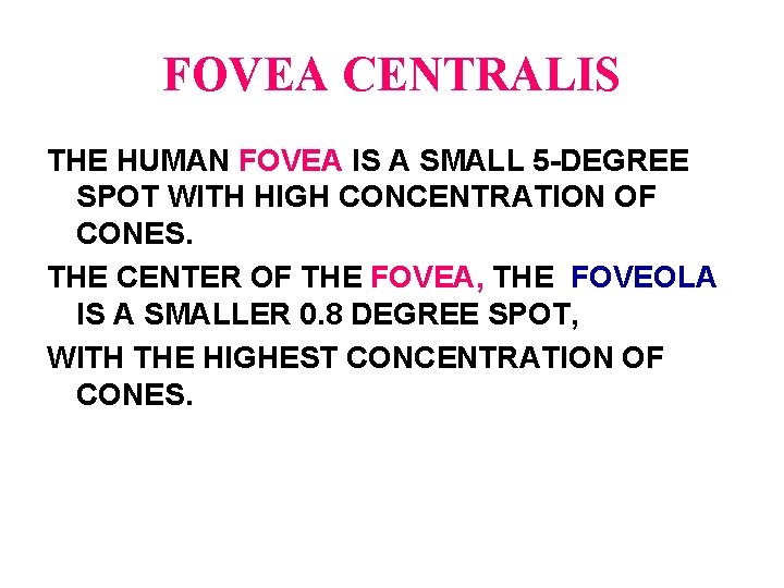 FOVEA CENTRALIS THE HUMAN FOVEA IS A SMALL 5 -DEGREE SPOT WITH HIGH CONCENTRATION