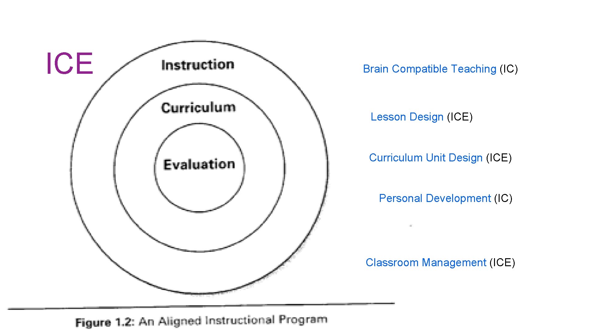 ICE Brain Compatible Teaching (IC) Lesson Design (ICE) Curriculum Unit Design (ICE) Personal Development