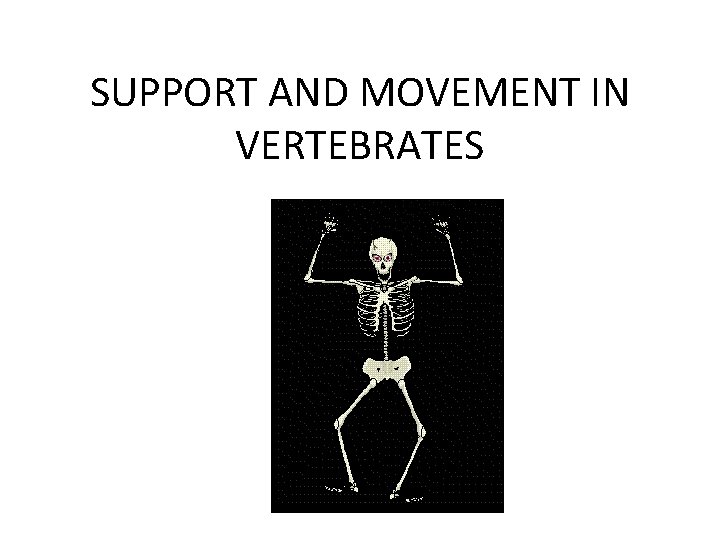 SUPPORT AND MOVEMENT IN VERTEBRATES 