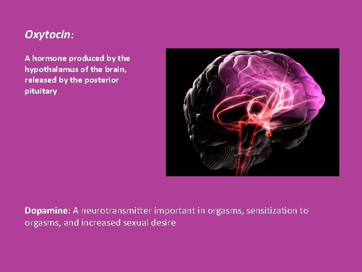 Oxytocin: A hormone produced by the hypothalamus of the brain, released by the posterior