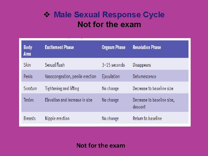 v Male Sexual Response Cycle Not for the exam 