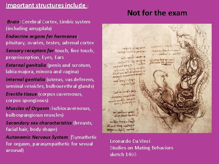 Important structures include : Brain: Cerebral Cortex, Limbic system (including amygdala) Endocrine organs for