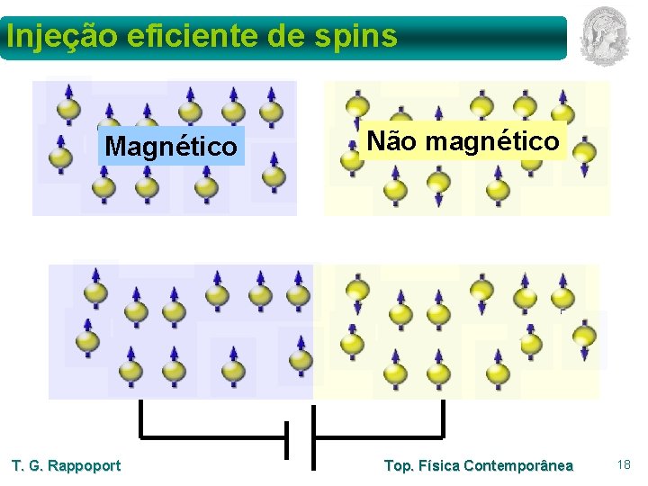 Injeção eficiente de spins Magnético T. G. Rappoport Não magnético Top. Física Contemporânea 18