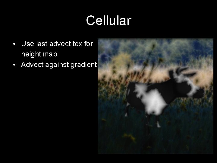 Cellular • Use last advect tex for height map • Advect against gradient 