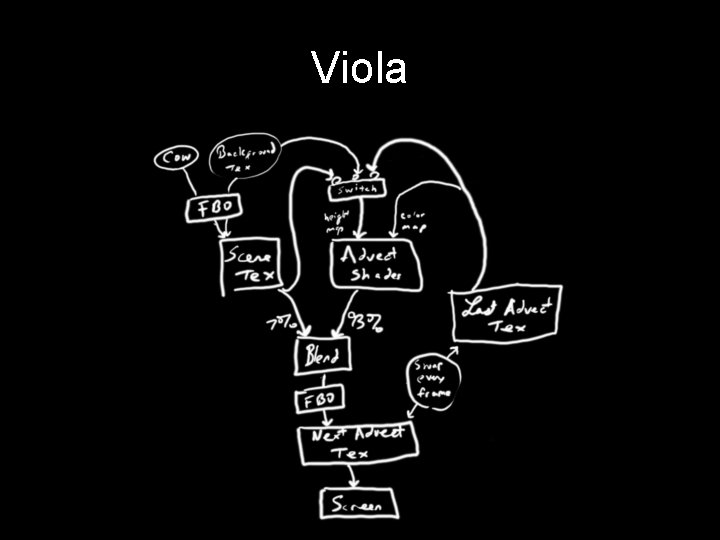 Viola 