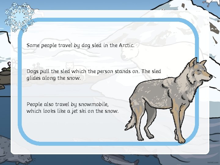 Some people travel by dog sled in the Arctic. Dogs pull the sled which