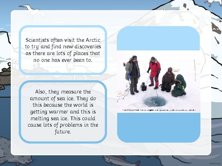 Scientists often visit the Arctic to try and find new discoveries as there are