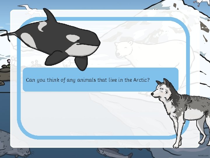 v live in the Arctic? Can you think of any animals that 