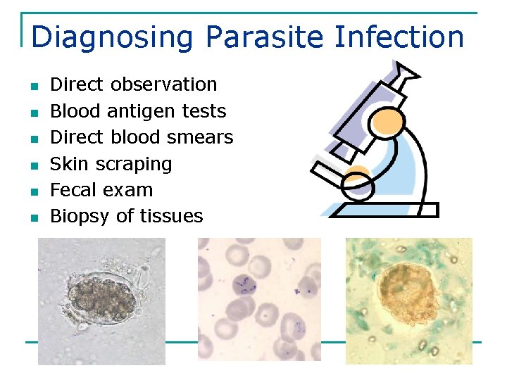 Diagnosing Parasite Infection n n n Direct observation Blood antigen tests Direct blood smears