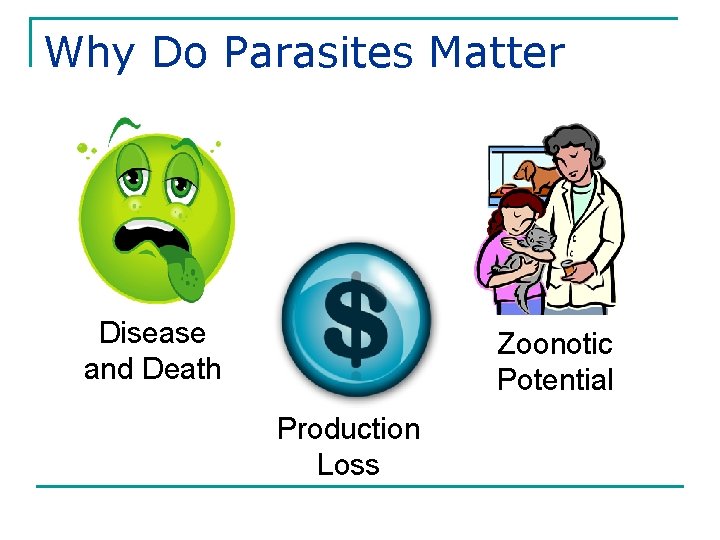 Why Do Parasites Matter Disease and Death Zoonotic Potential Production Loss 