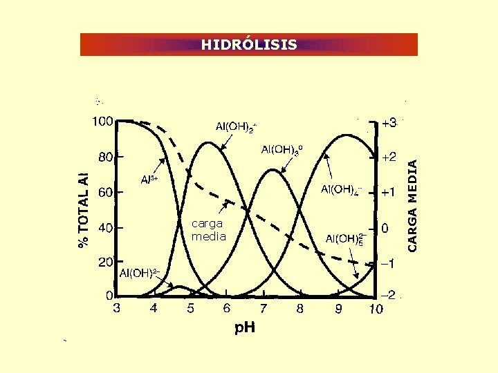 carga media CARGA MEDIA HIDRÓLISIS 